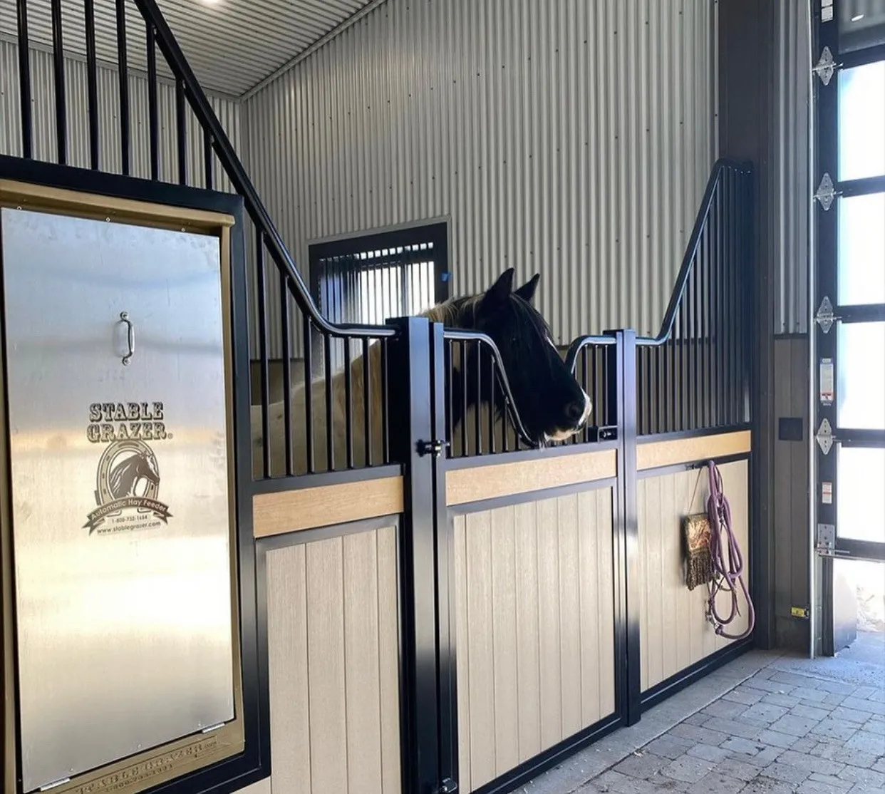 Stable Grazer image with a horse