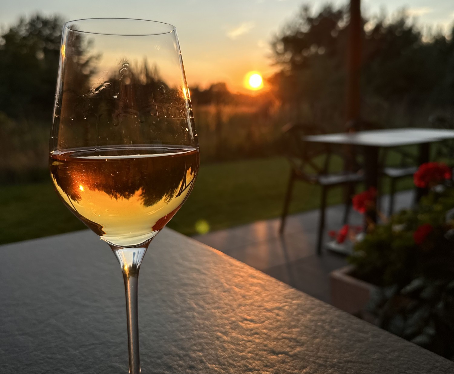 Kameralna restauracja pod Poznaniem – kieliszek wina o zachodzie słońca na tarasie Niedźwiedzia 25