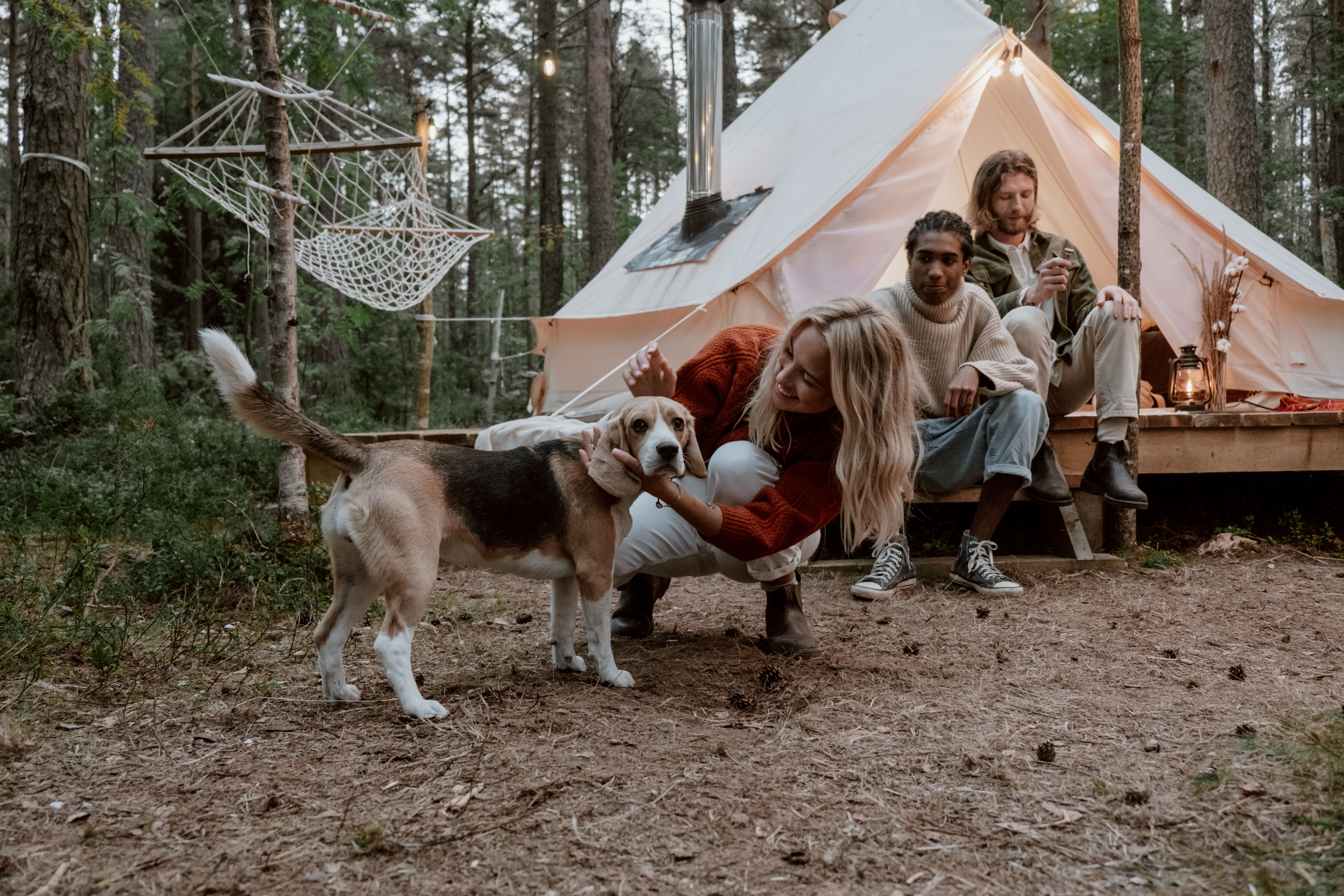 Why your dog's native language isn't dog, but probably Spanish