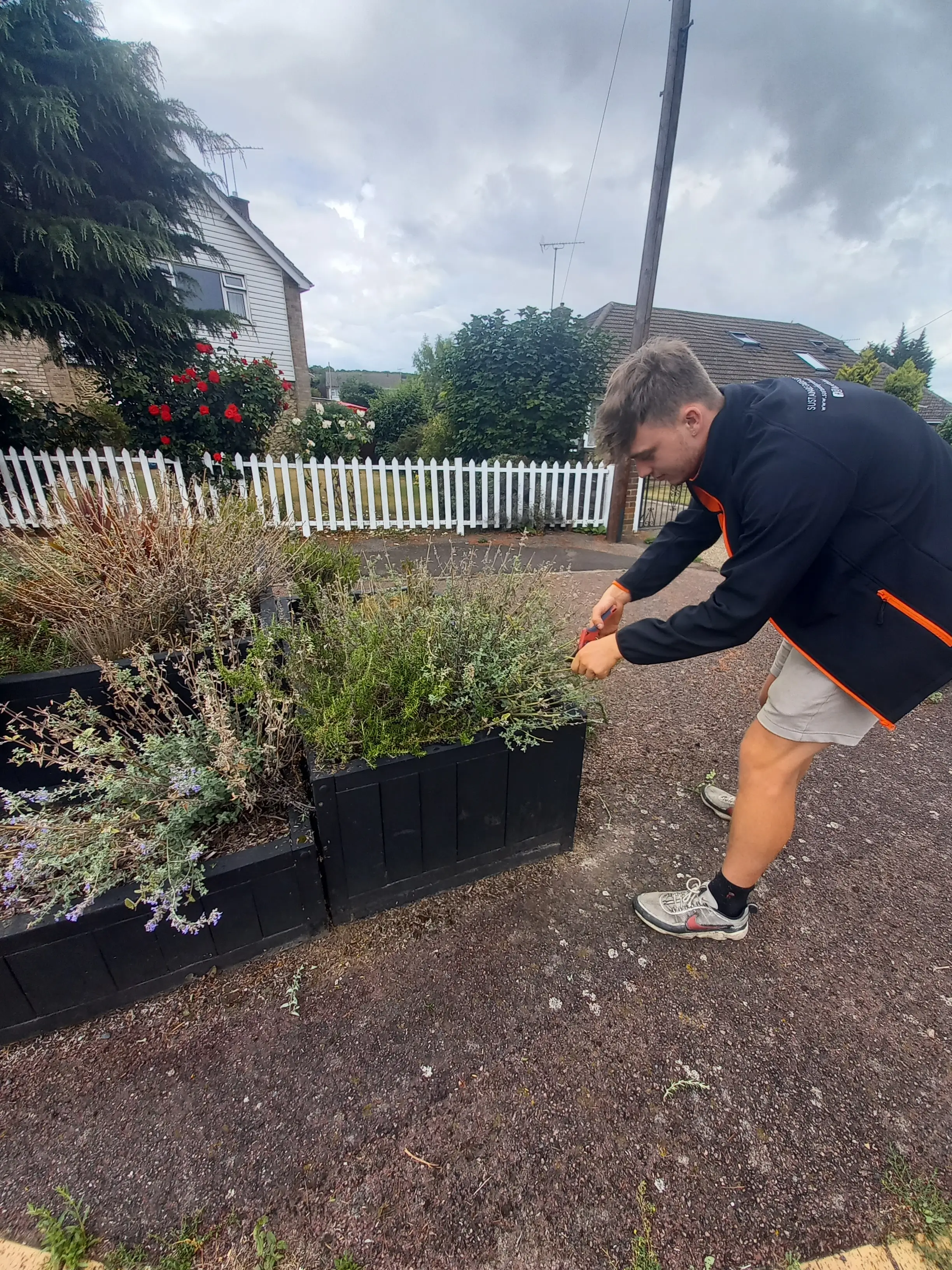 A person kneels beside a garden bed, tending to plants on a cloudy day.