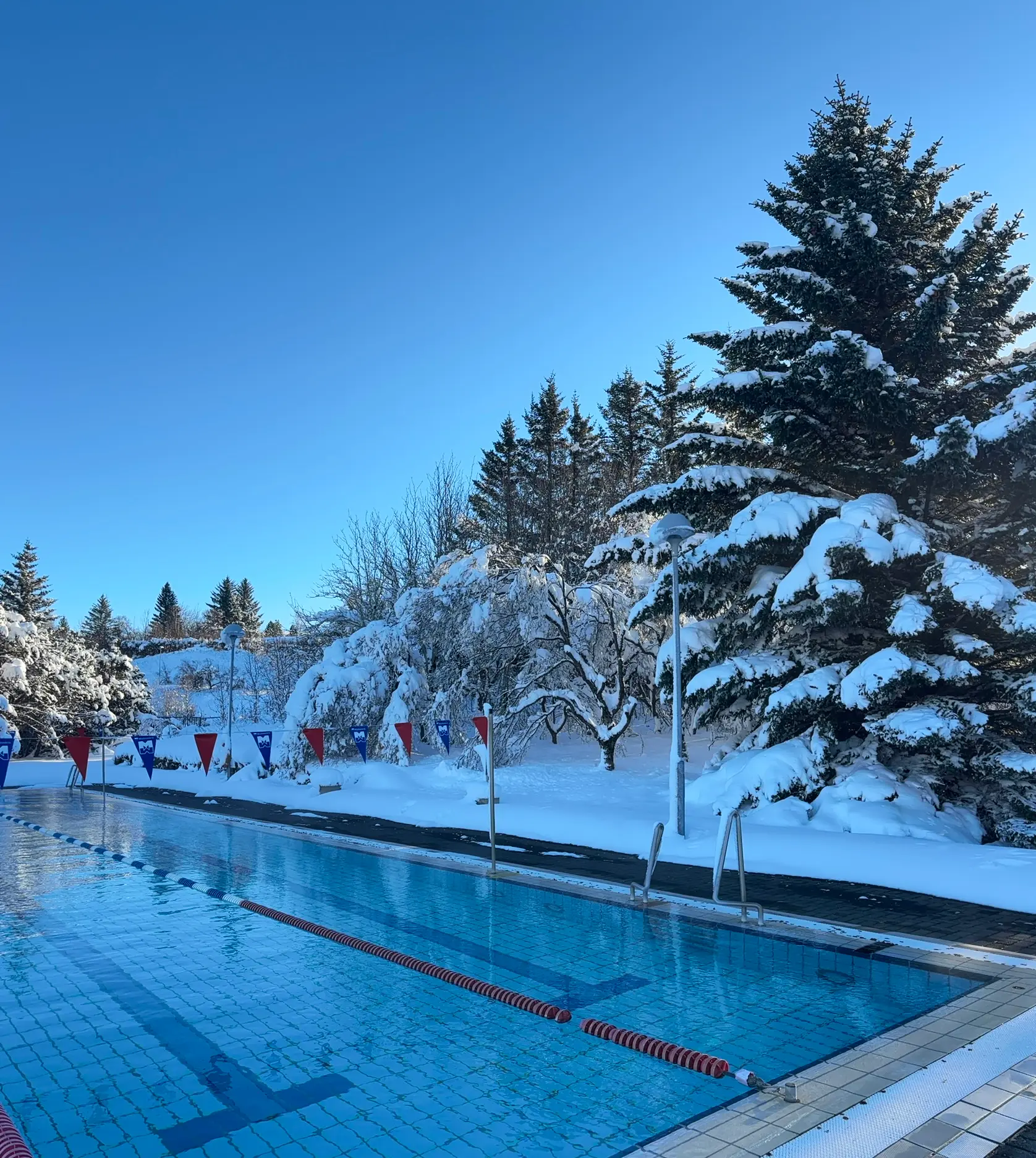 Outdoor lap pool at Árbaejarlaug in Reykjavík on a bright winter day, with snow-covered trees and ground surrounding the warm blue water under a clear sky.