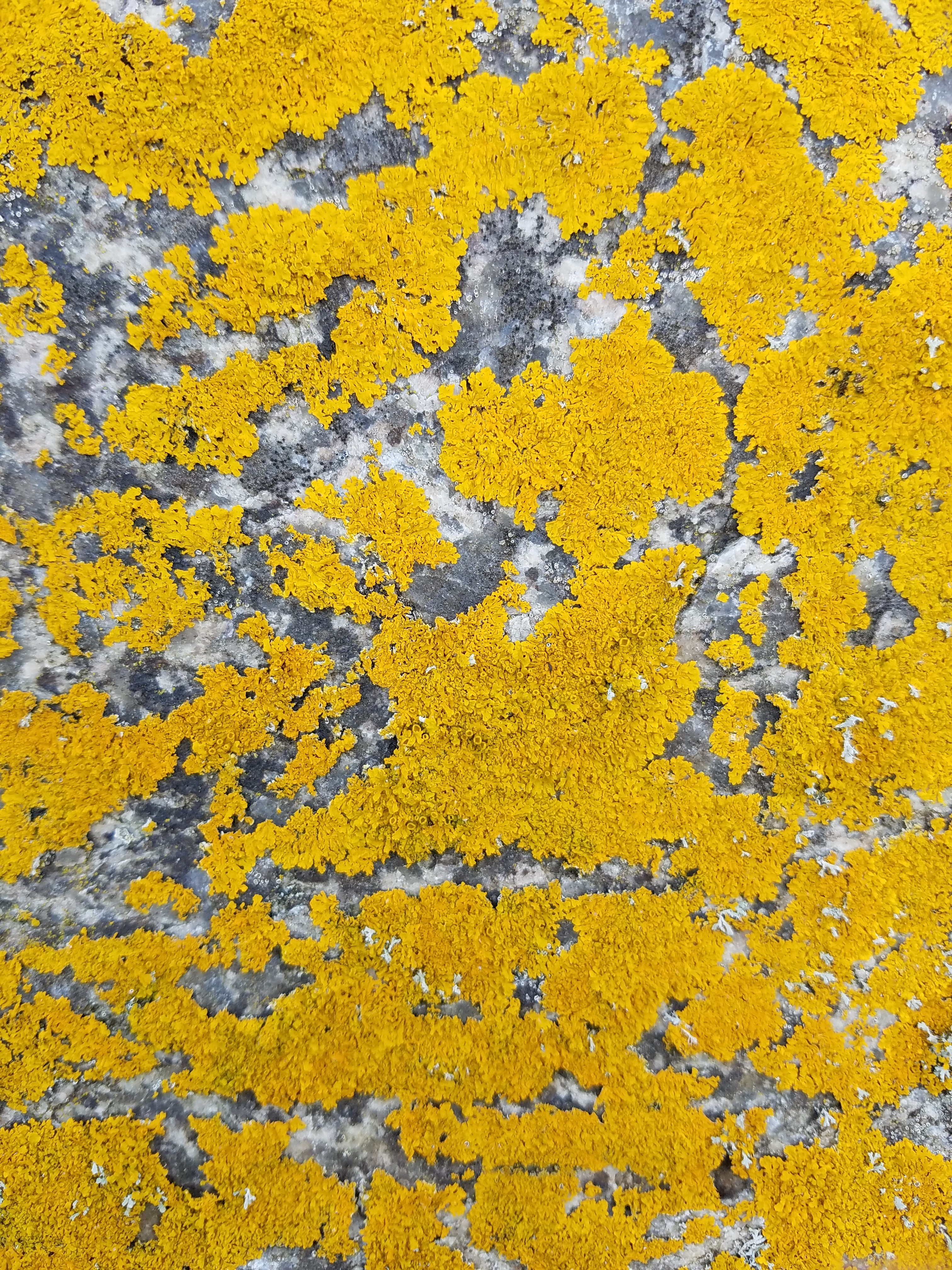 low angle view of a building