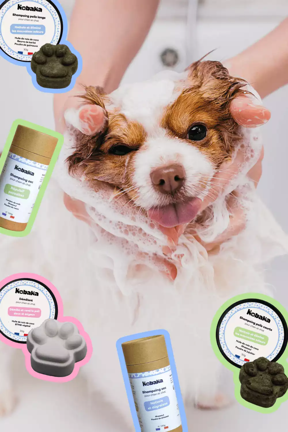 Packaging produits, shampoings secs Kobaka créé par Coralie De Almeida, graphiste animalier