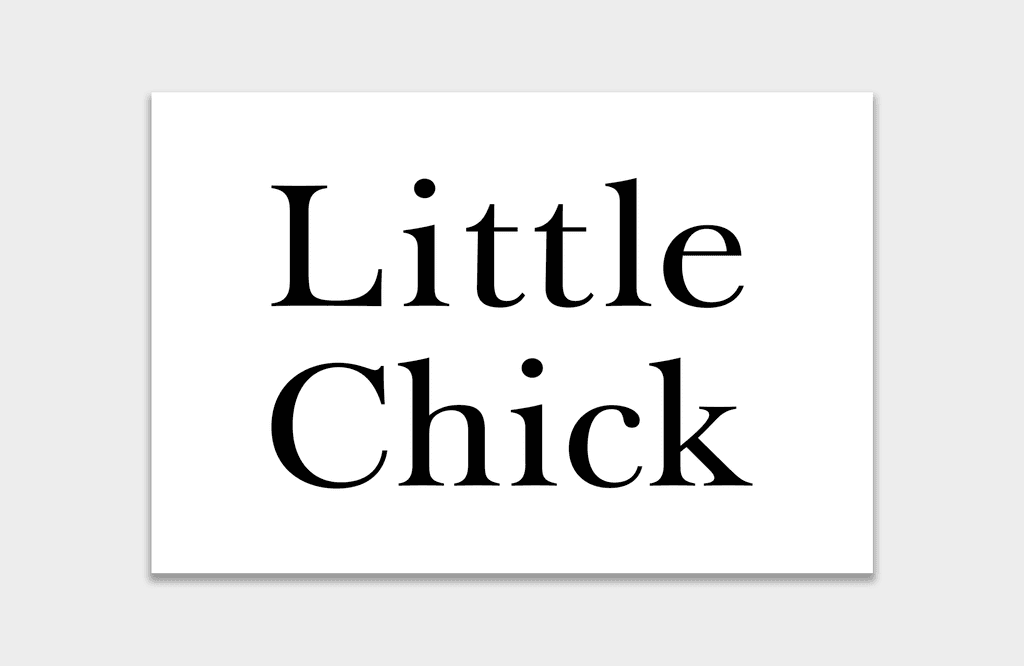 Little Chick Ltd logo
