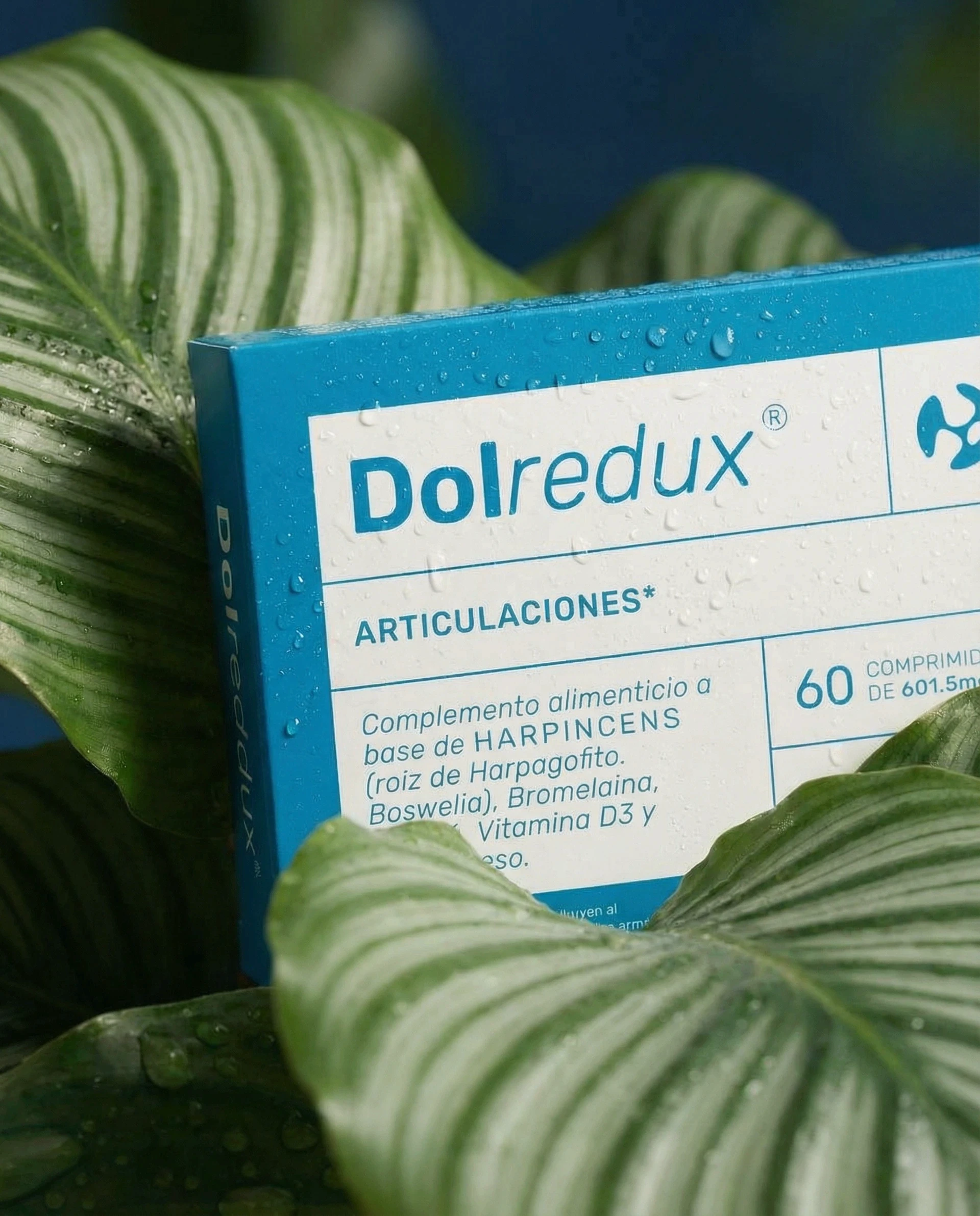 Dolredux packaging design. Hire a Barcelona brand identity & packaging designer.