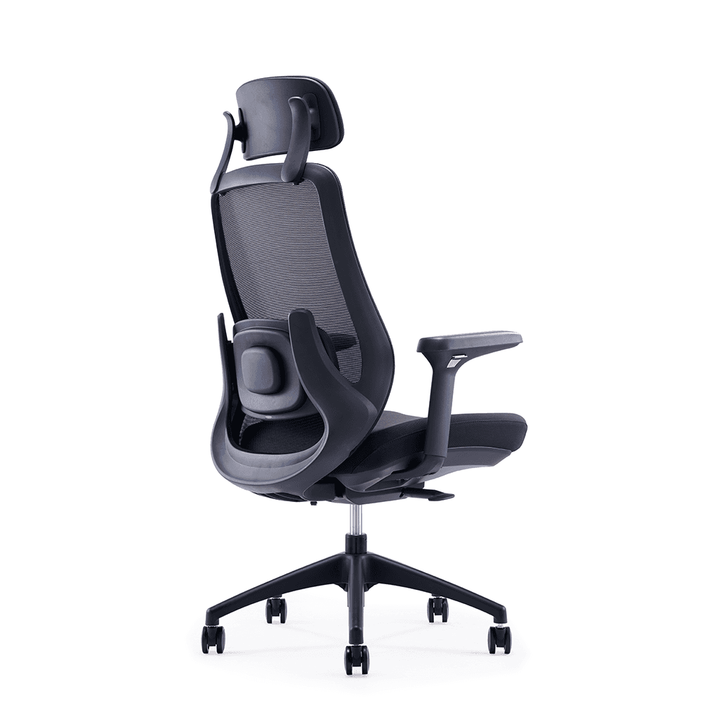 Ergonomic high-back mesh office chair with adjustable headrest and lumbar support, black colour