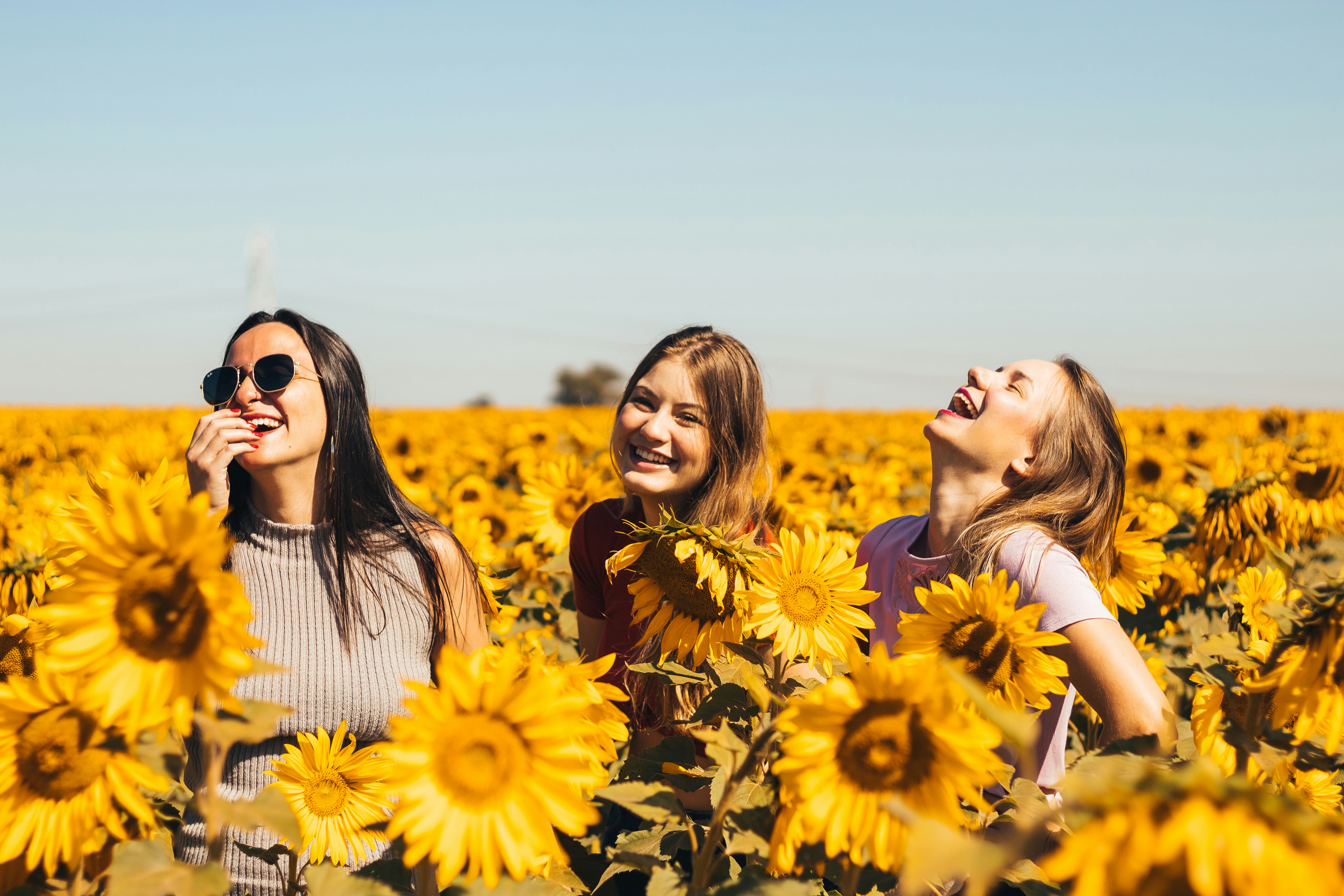 Girls Laughing in Field - ClipChamp Alternative