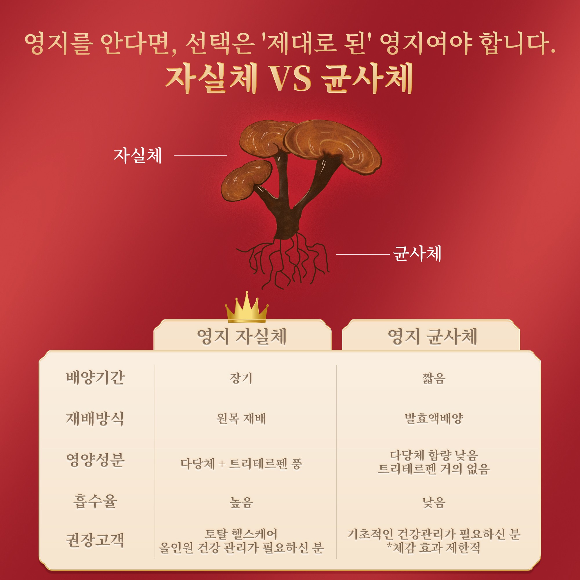 灵芝皇