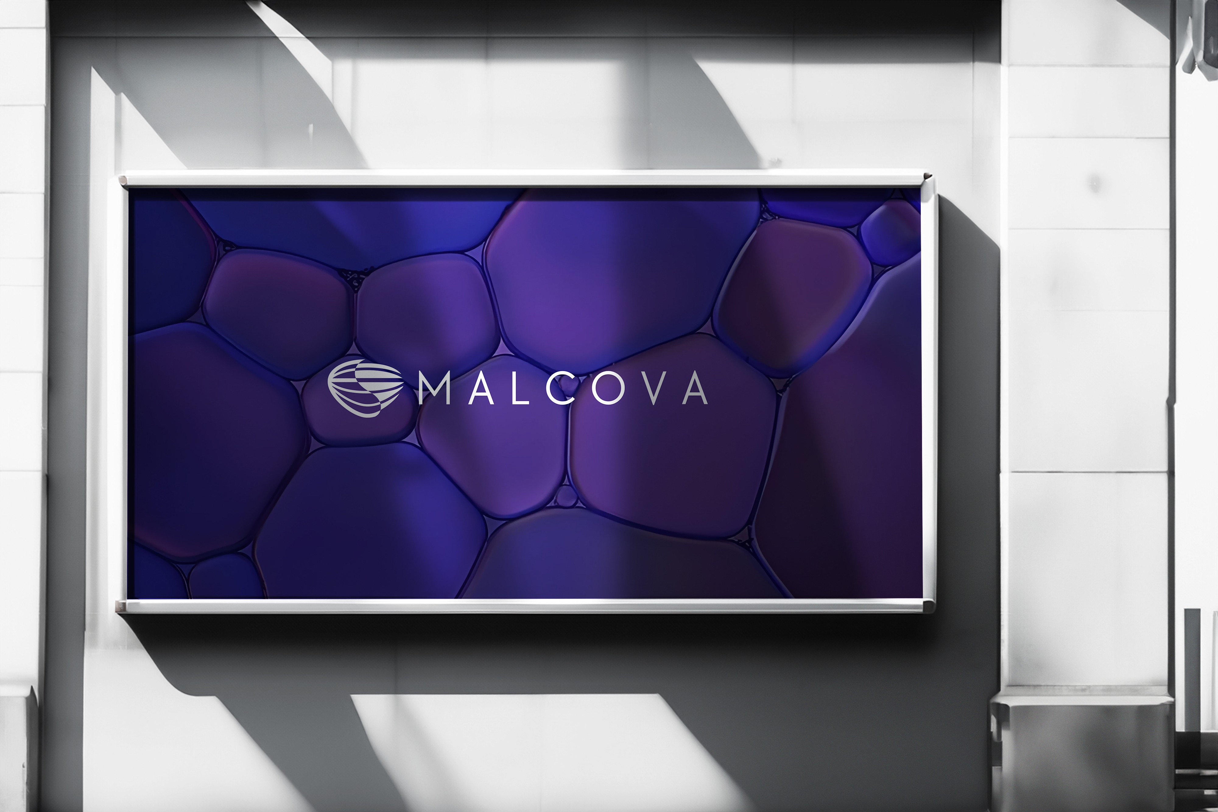 Laptop showing Bloomy UI