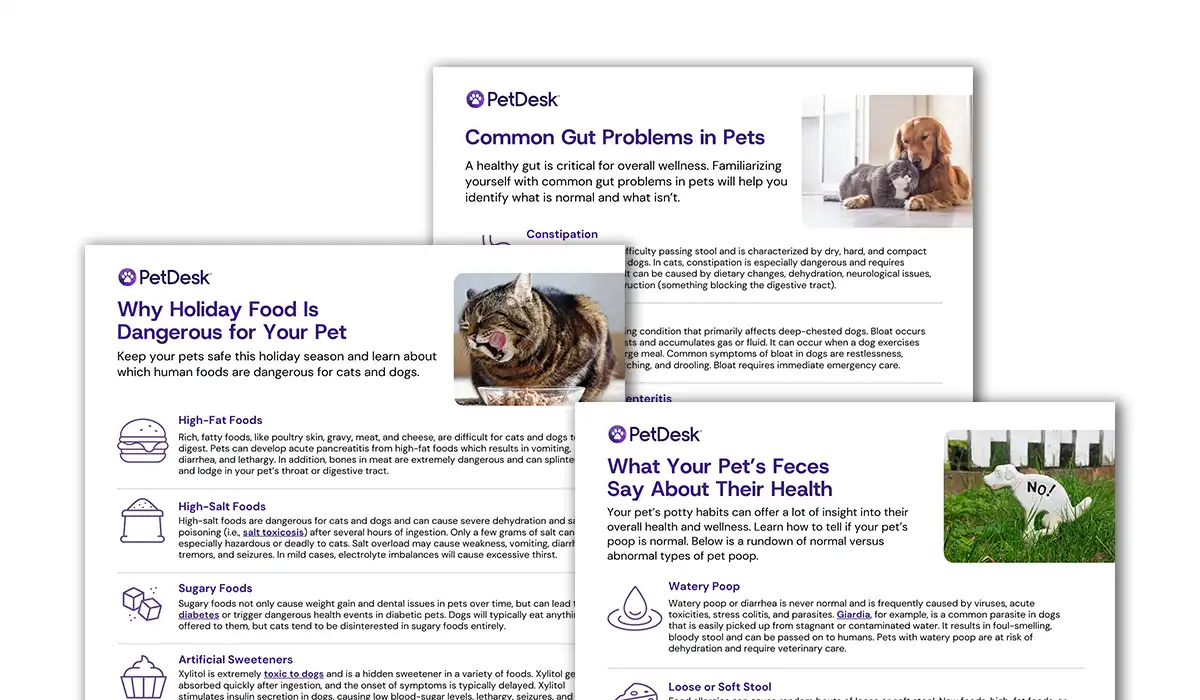 Pet Gut Health Handouts