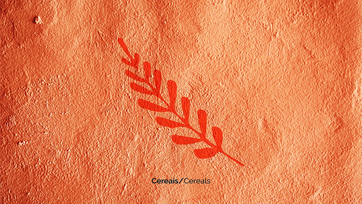 Provida rebrand key visual ecosystem cereals element