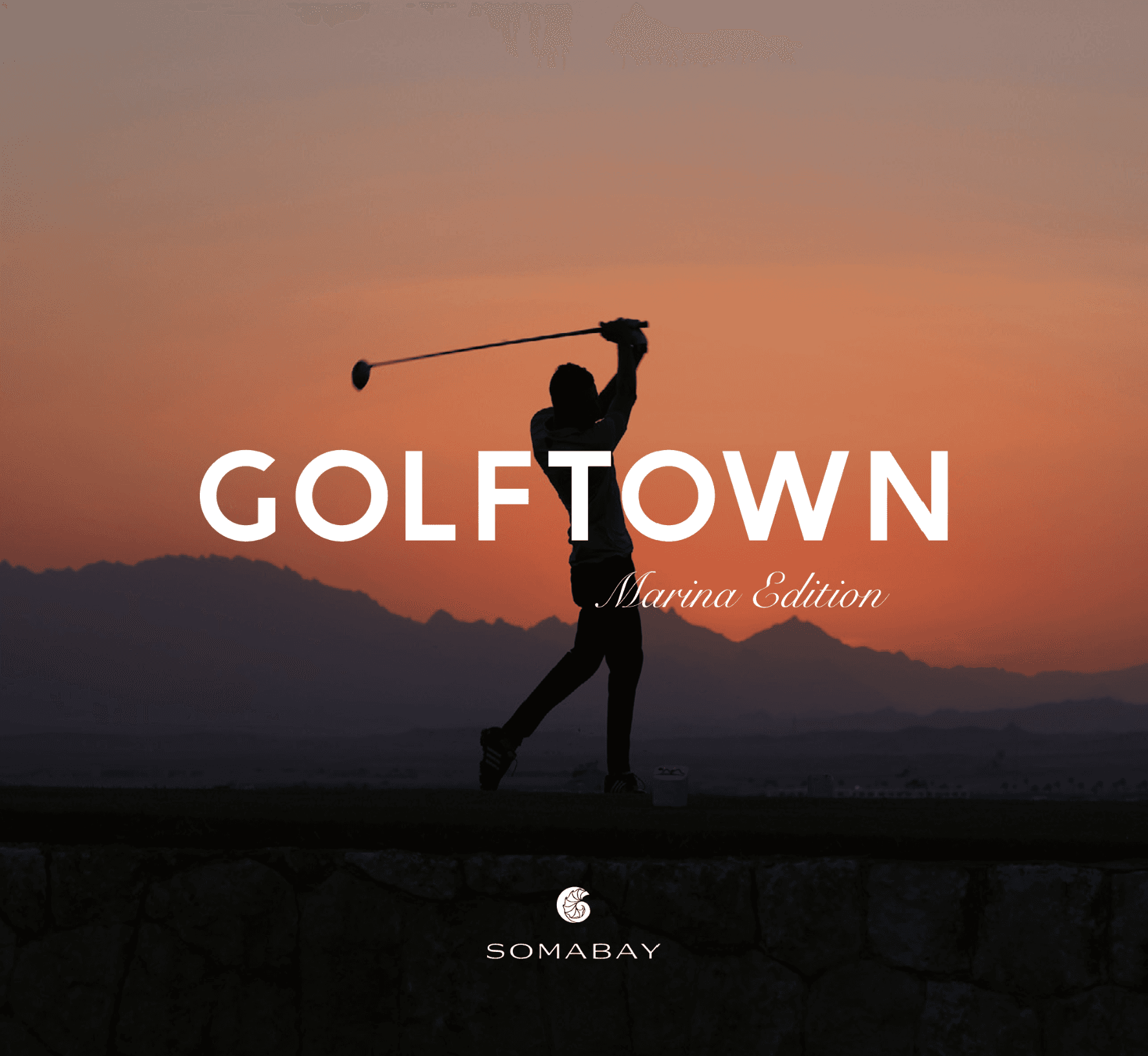 brown wooden house with green grass field