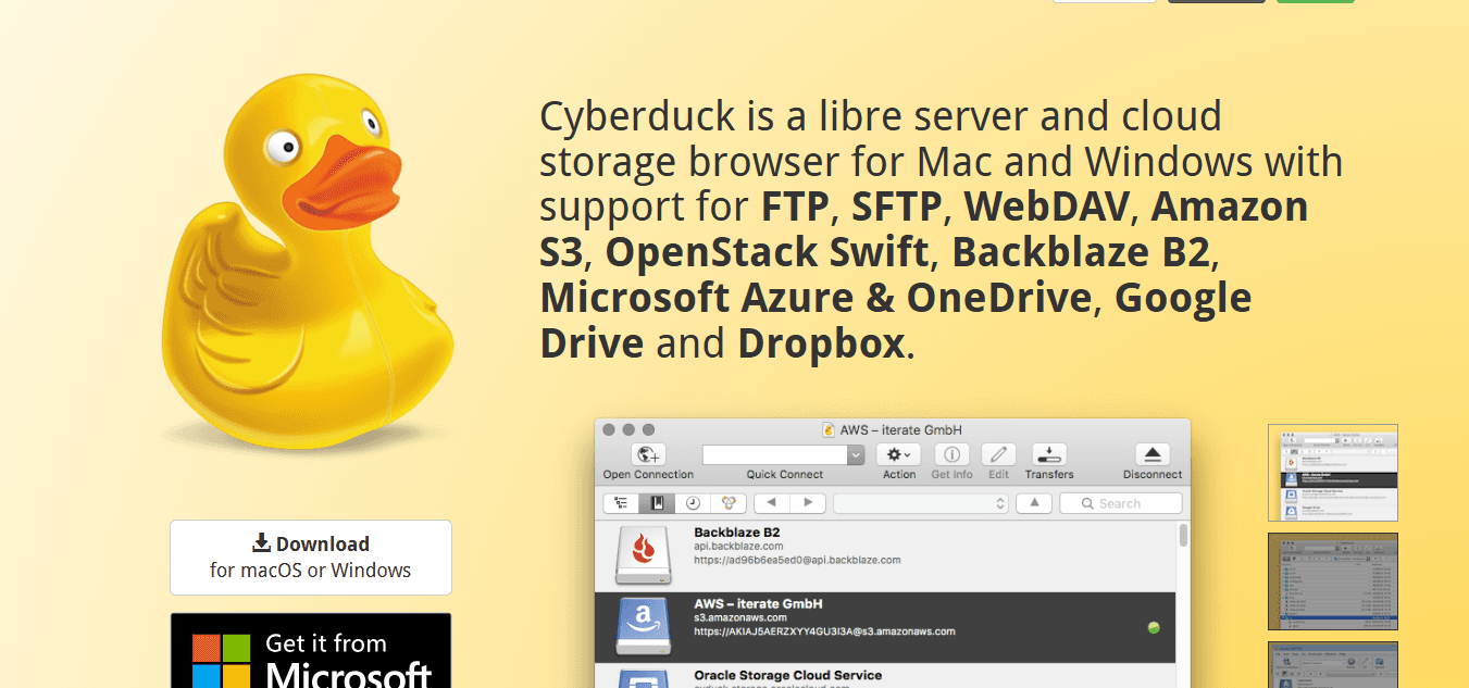Cyber-Duck