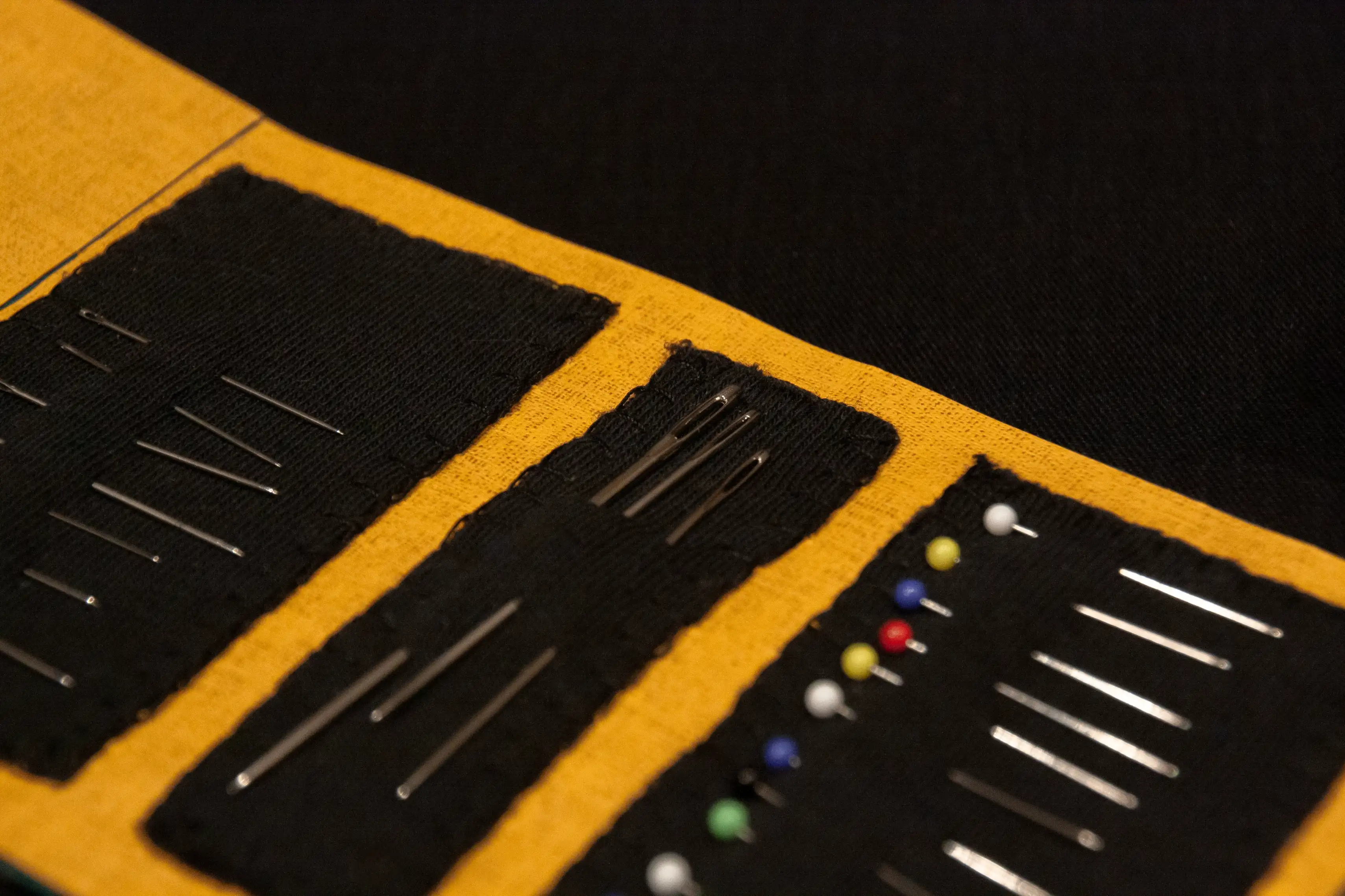 Close-up showing needles and pins in mending kit