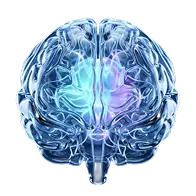 Transparent brain structure with glowing light