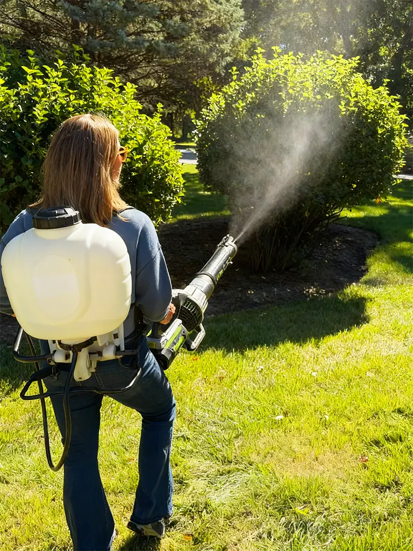 A person with long hair, wearing jeans and a backpack sprayer, is misting a bush in a sunlit garden, suggesting garden maintenance or pest control.