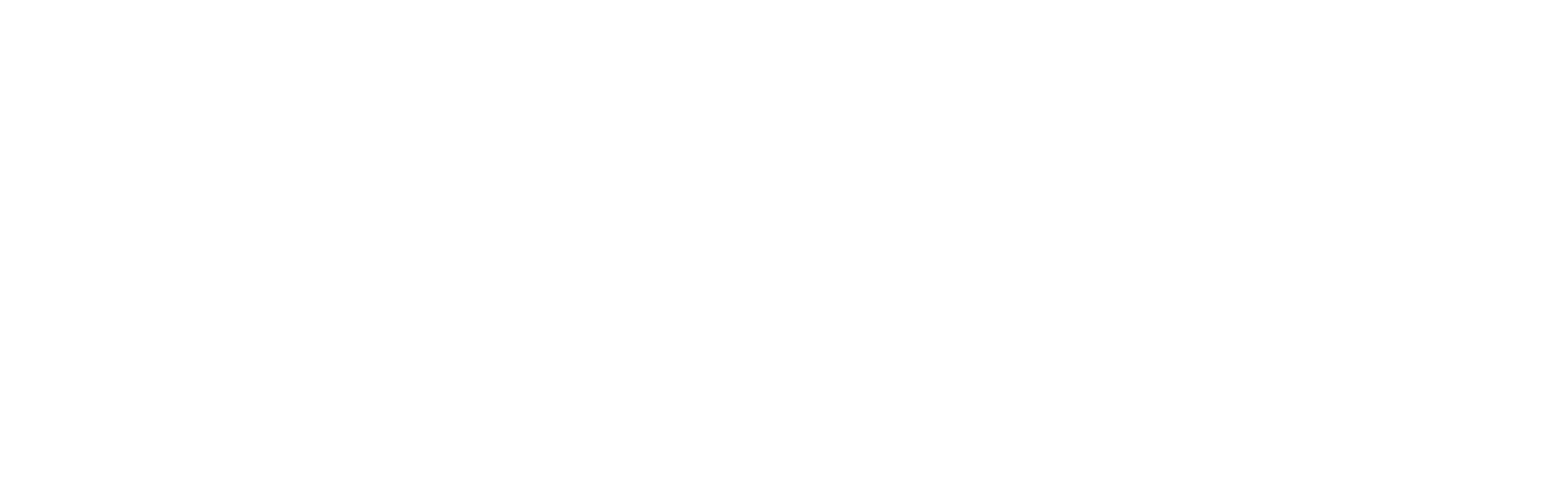 Perform Template Logo