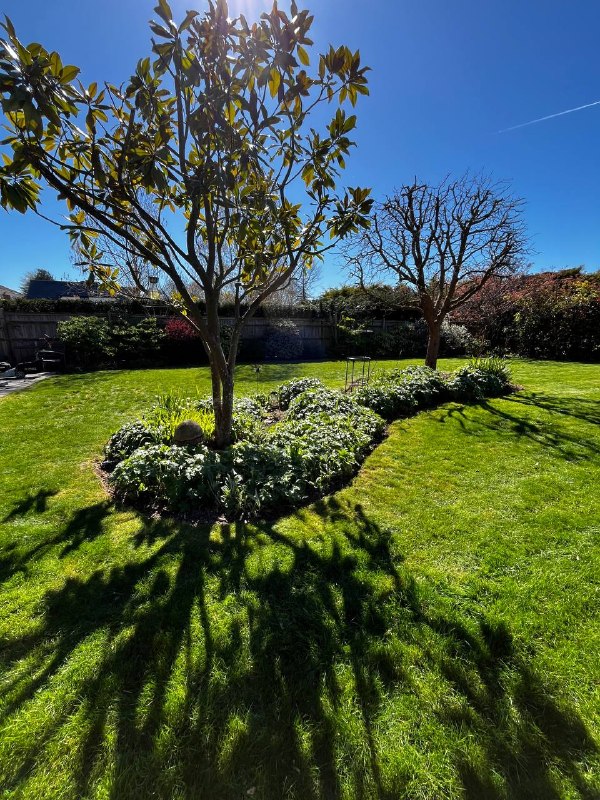 Public garden