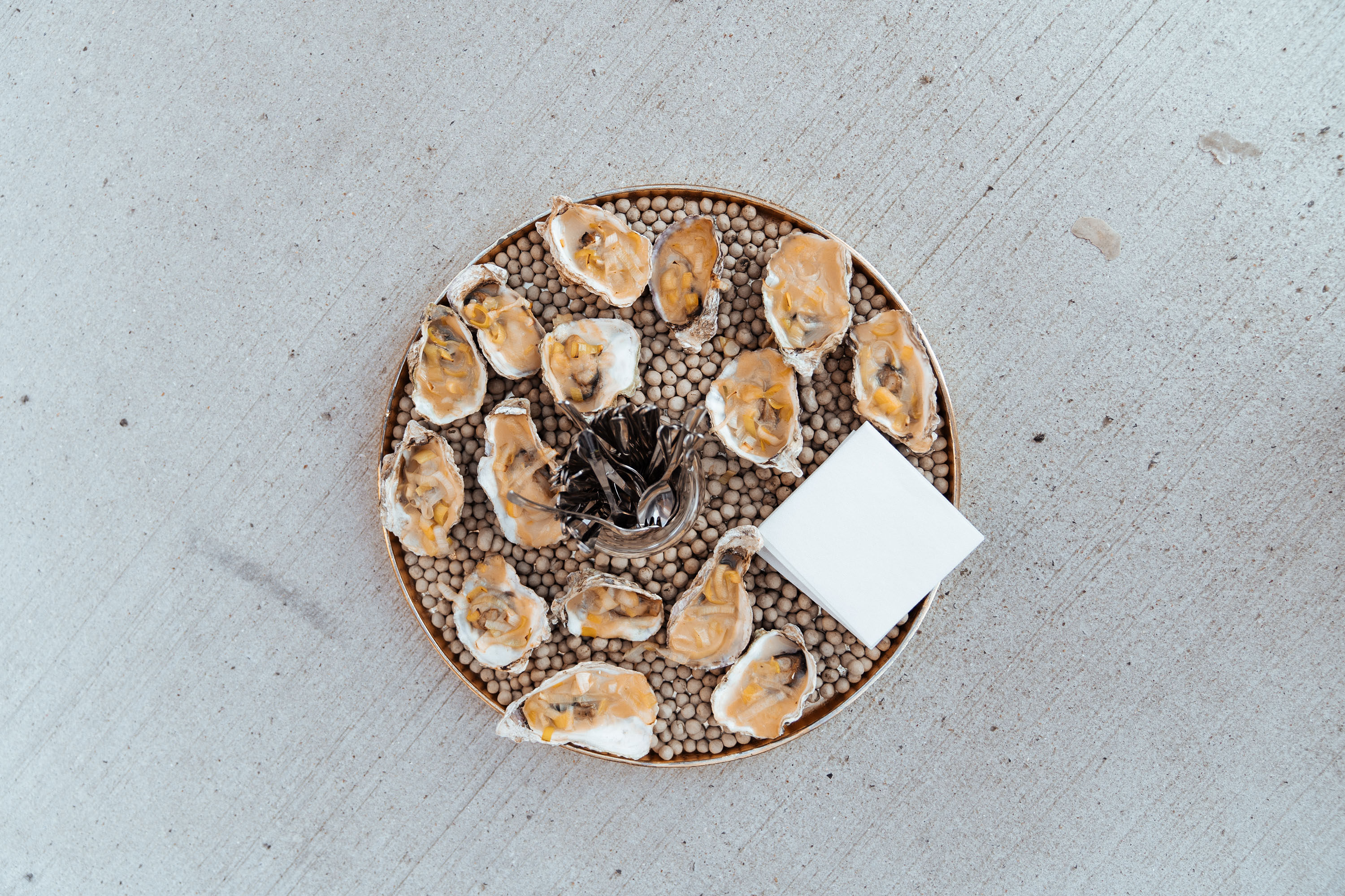 Freshly baked Margherita pizza with melted cheese, tomato sauce, and basil leaves, held by a person’s hand.