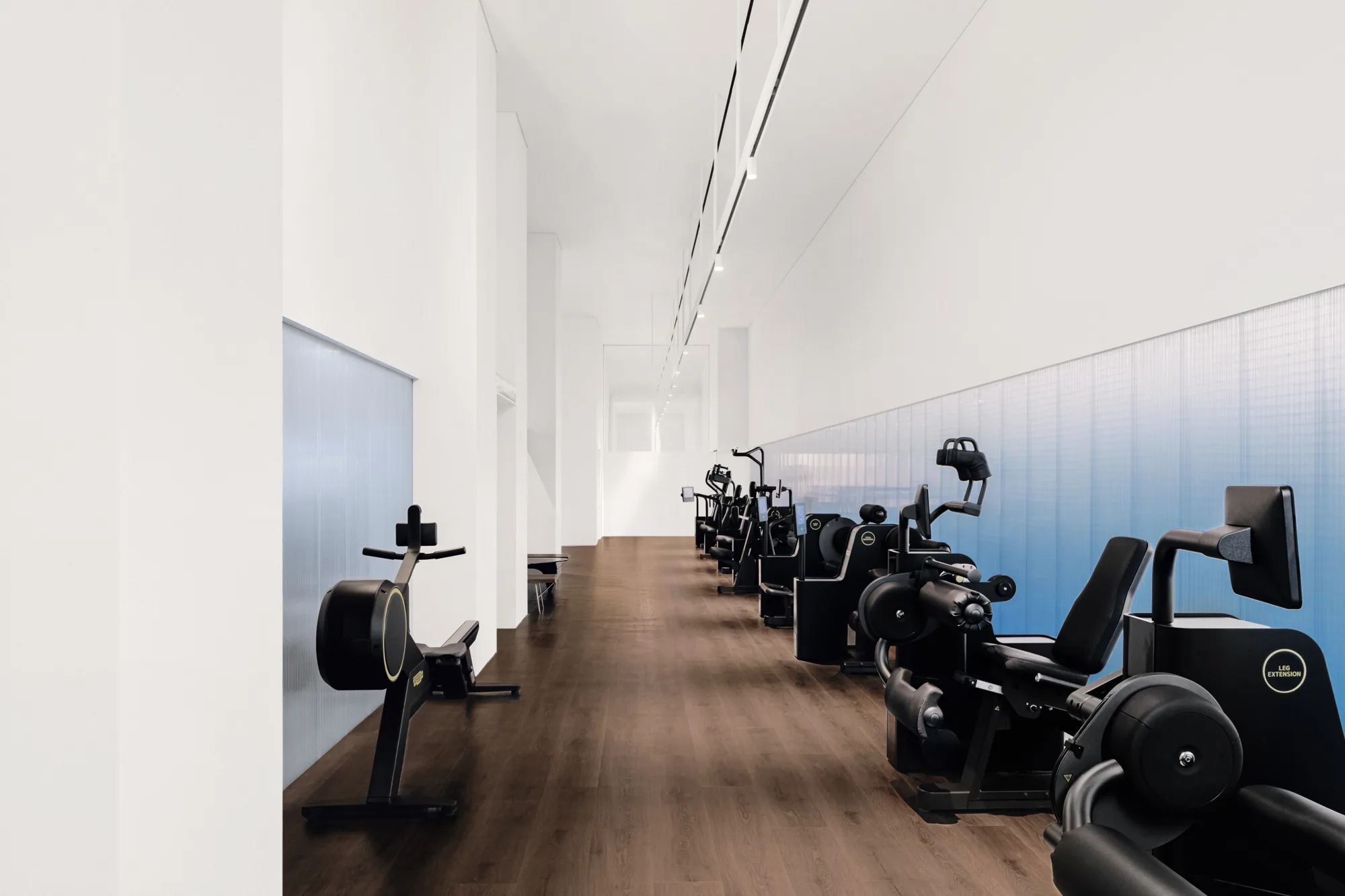 Weight machines along the glowing translucent wall of the PLAYA fitness room