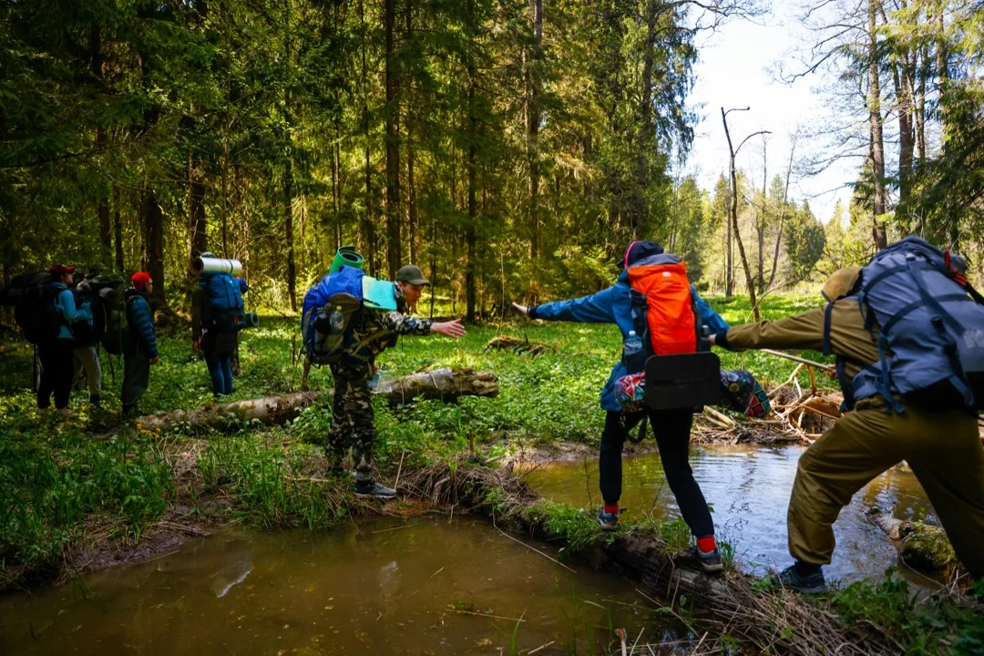 hikers are crossing a stream via a narrow log