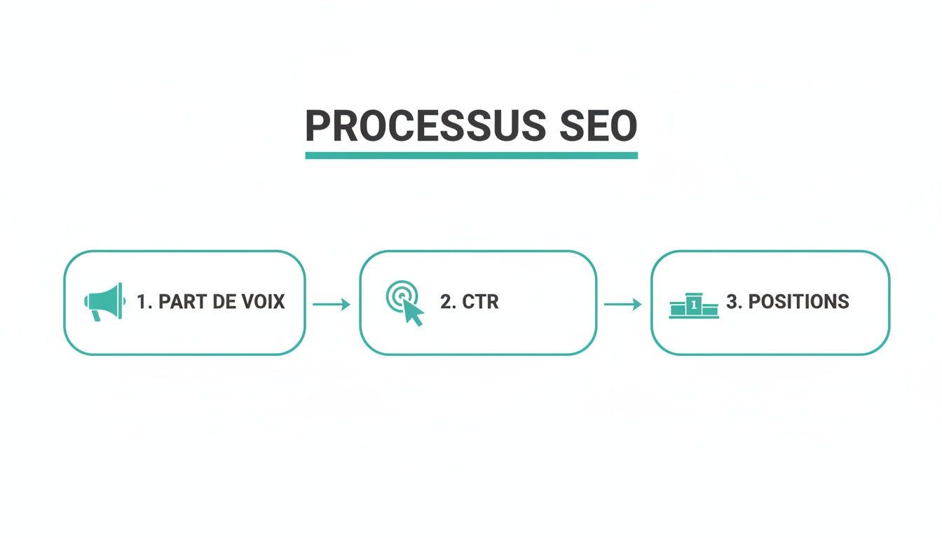 Diagramme illustrant les trois étapes clés du processus SEO : part de voix, CTR et positions.