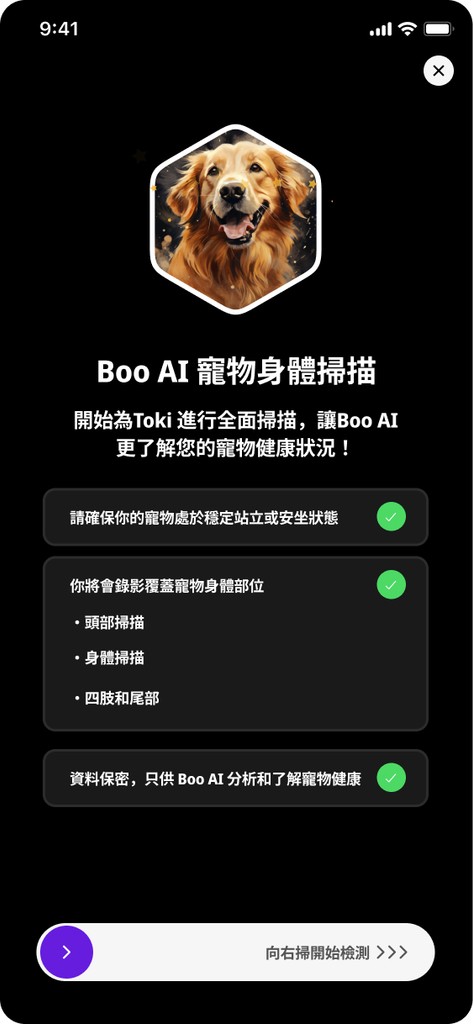 Boo AI Triage Chatbot