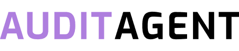 Audit agent