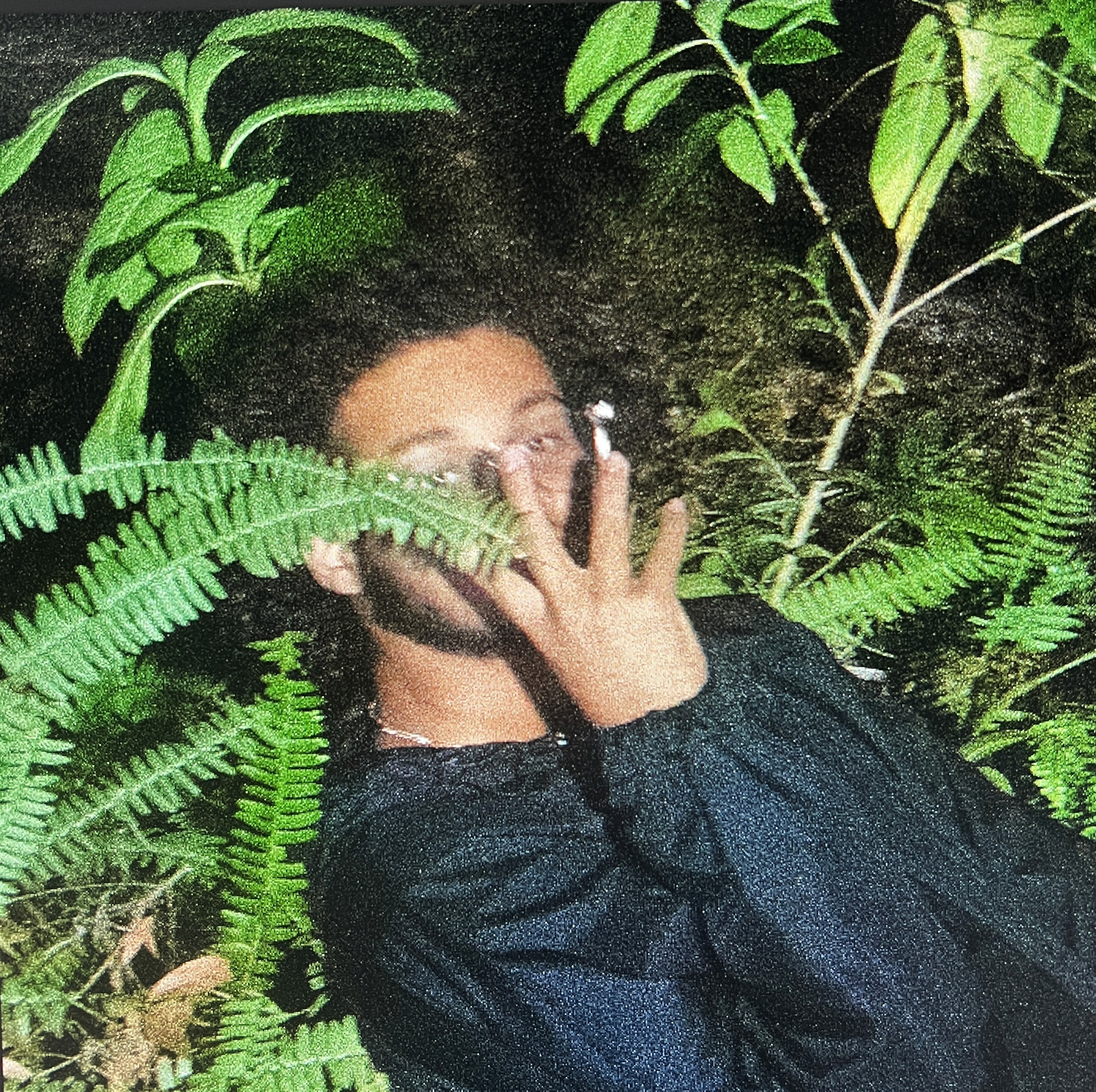 Clear Image of Fredrick