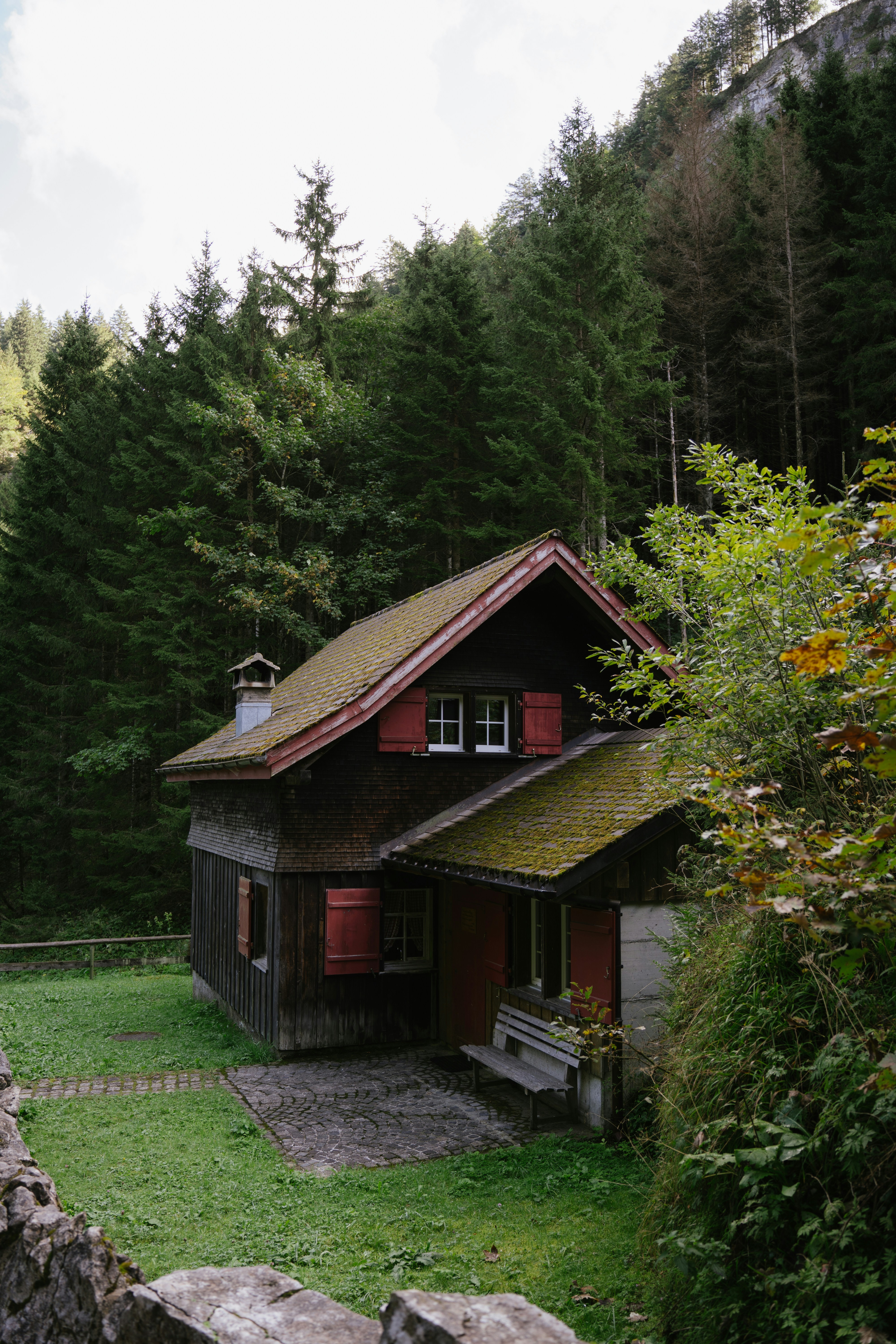 A small house in the middle of a forest