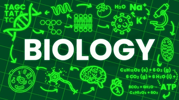 High school student reviewing a biology research paper for academic journal submission