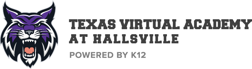 Texas Virtual Academy at Hallsville