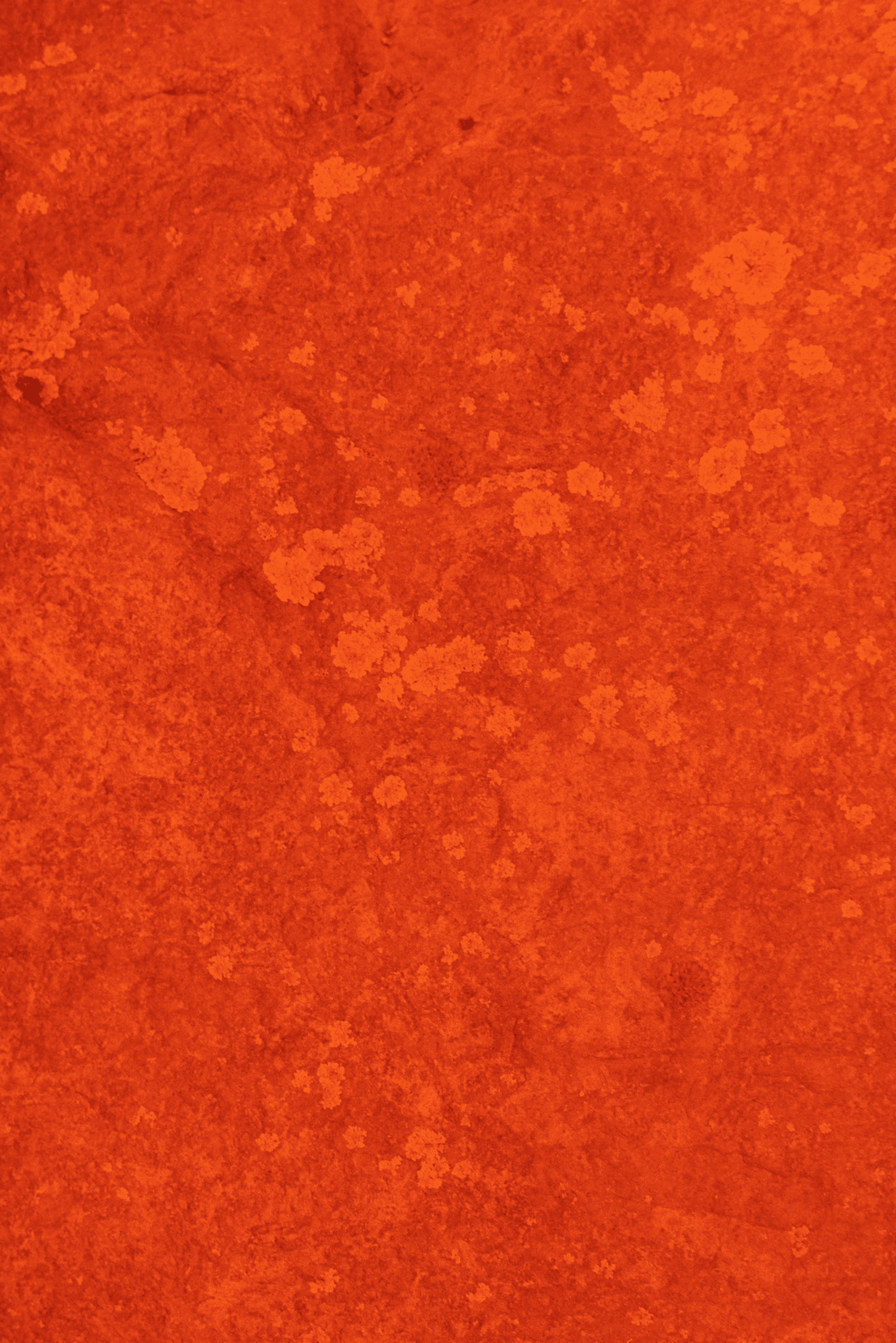 five children smiling while doing peace hand sign