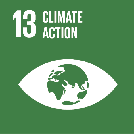 Icon for Sustainable Development Goal 13: Climate Action, featuring a globe within an eye symbol on a green background.