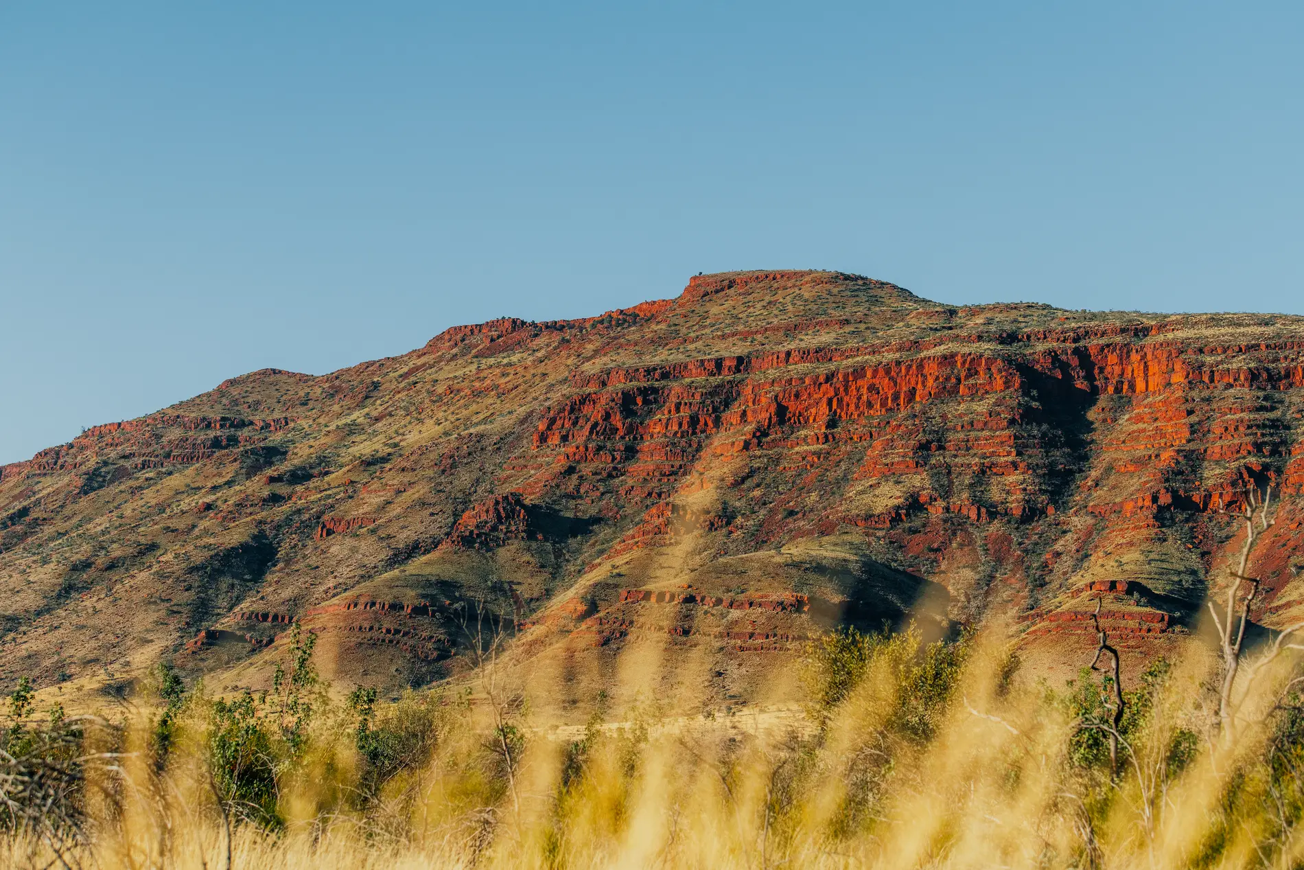 A banded red escarpment rising above dry spinifex and scattered trees