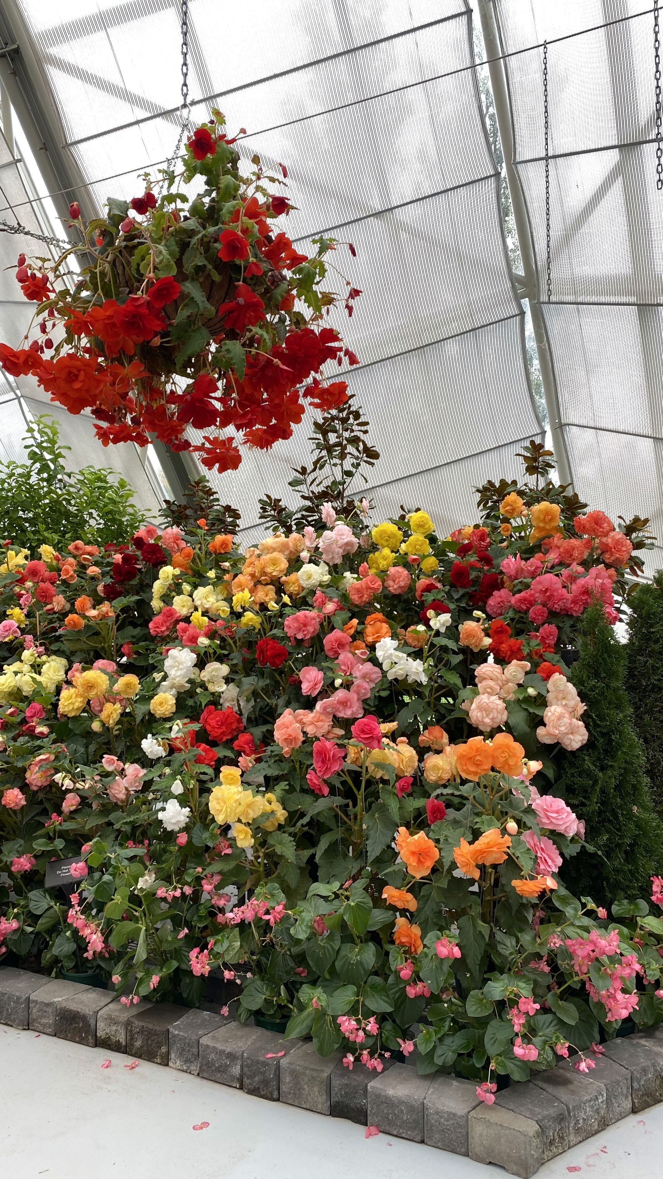 Ballarat Botanical Gardens