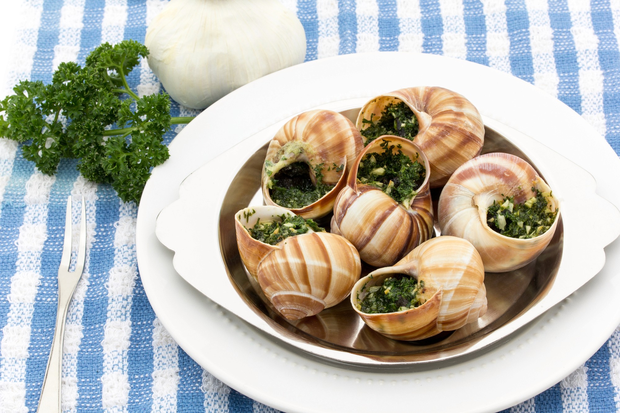 photography of dam during daytime