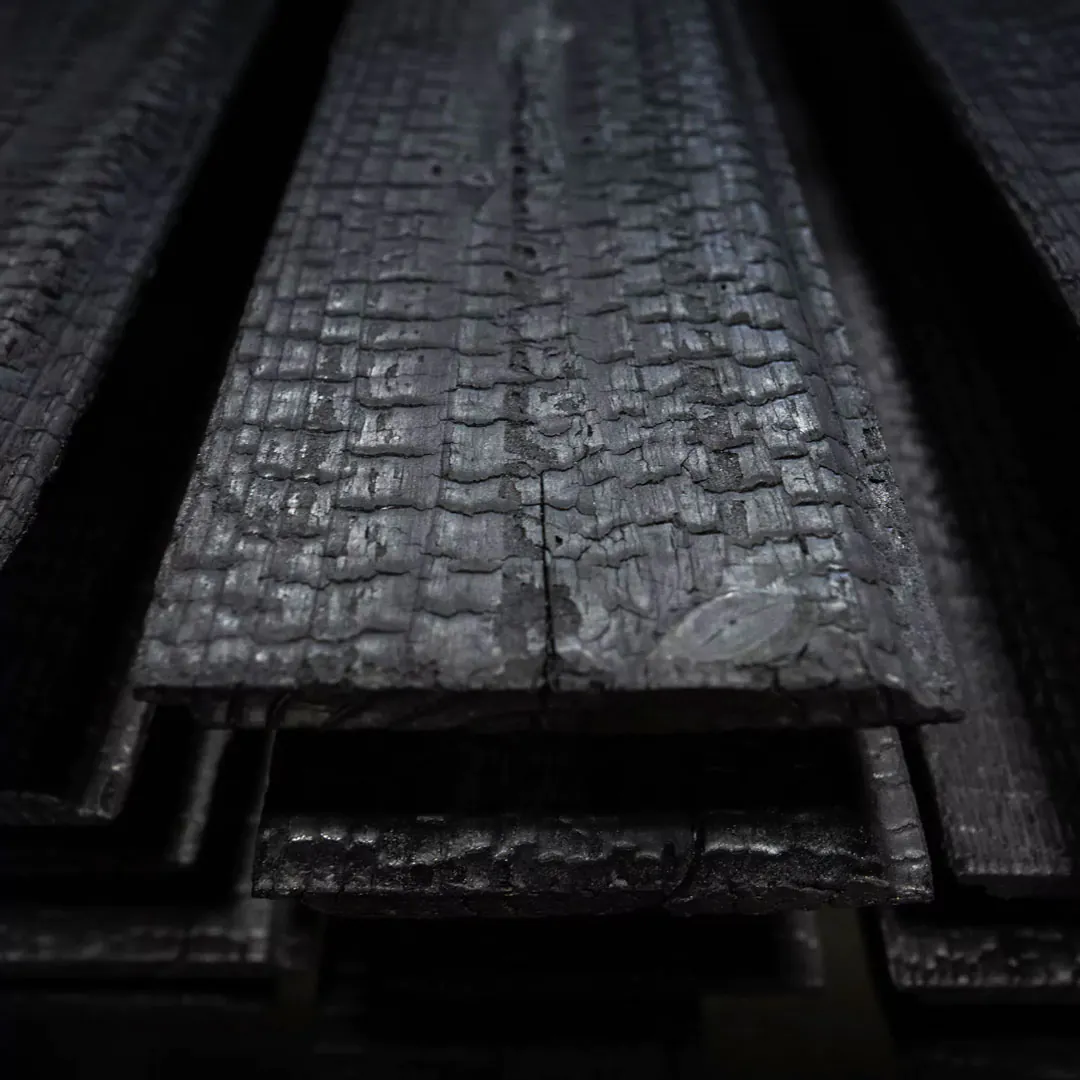 Ultra-detailed close-up of charred wood texture for material upscaling.