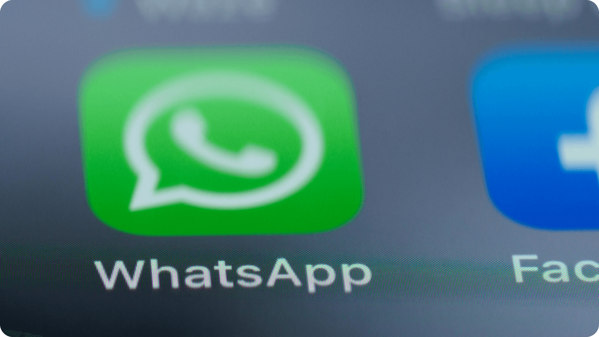 Integrar Whatsapp ao ERP