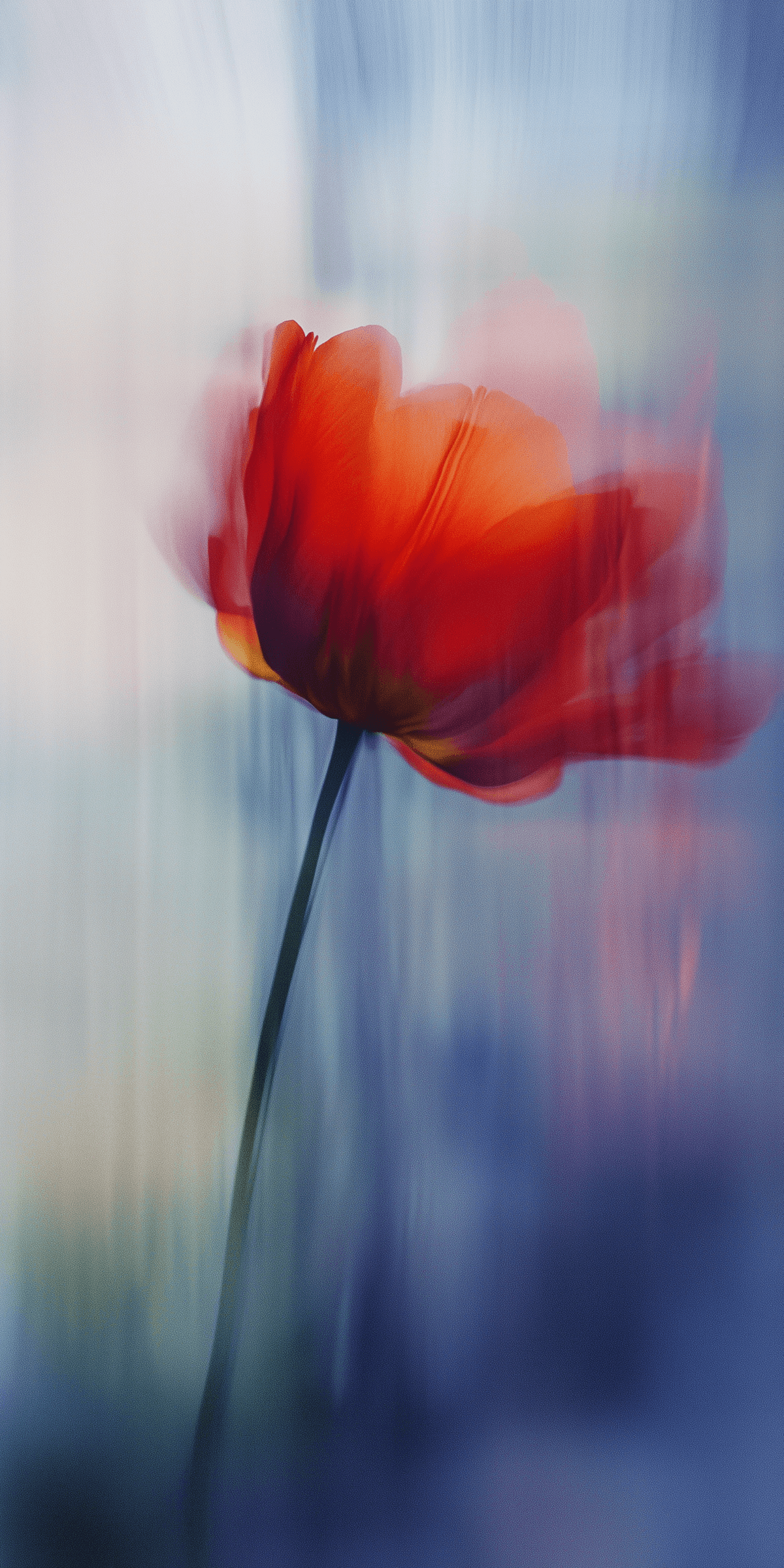Ethereal Flower