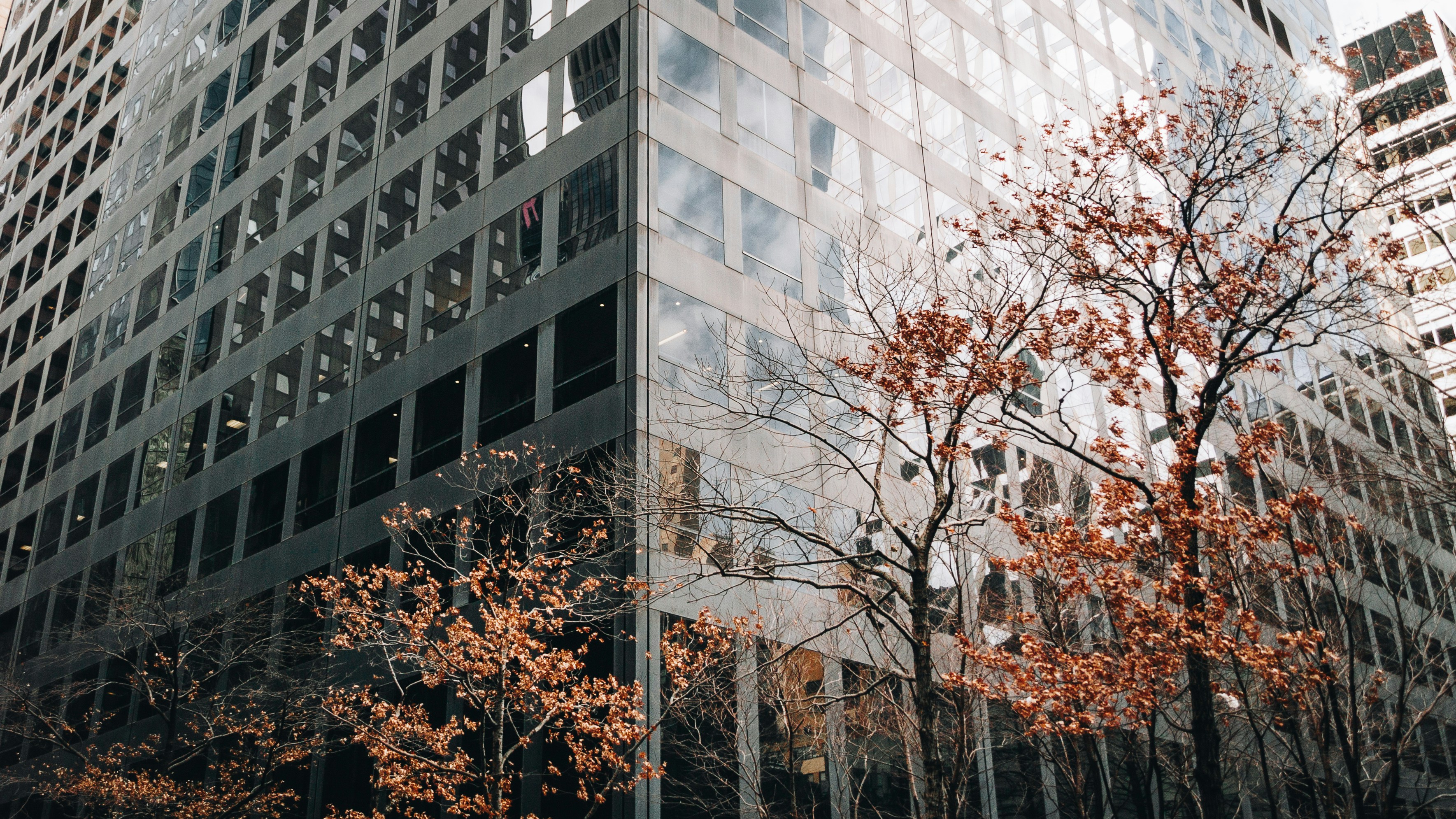a tall building with lots of windows next to trees