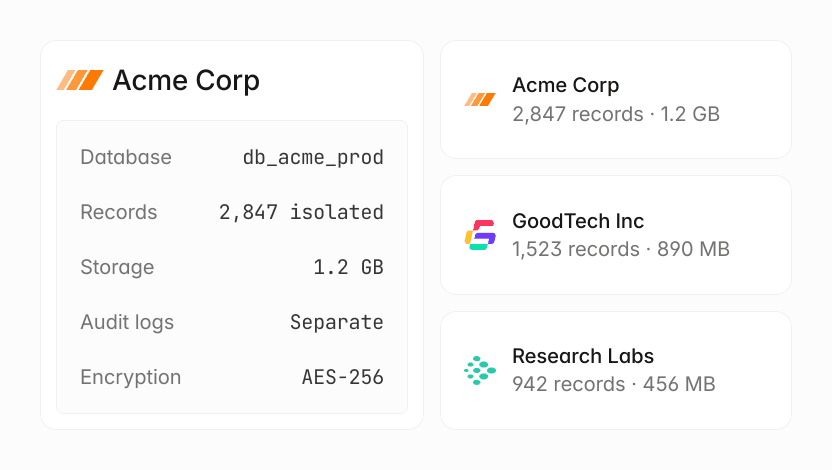 Acme Corp database details: 2,847 records, 1.2 GB storage. Other companies listed.