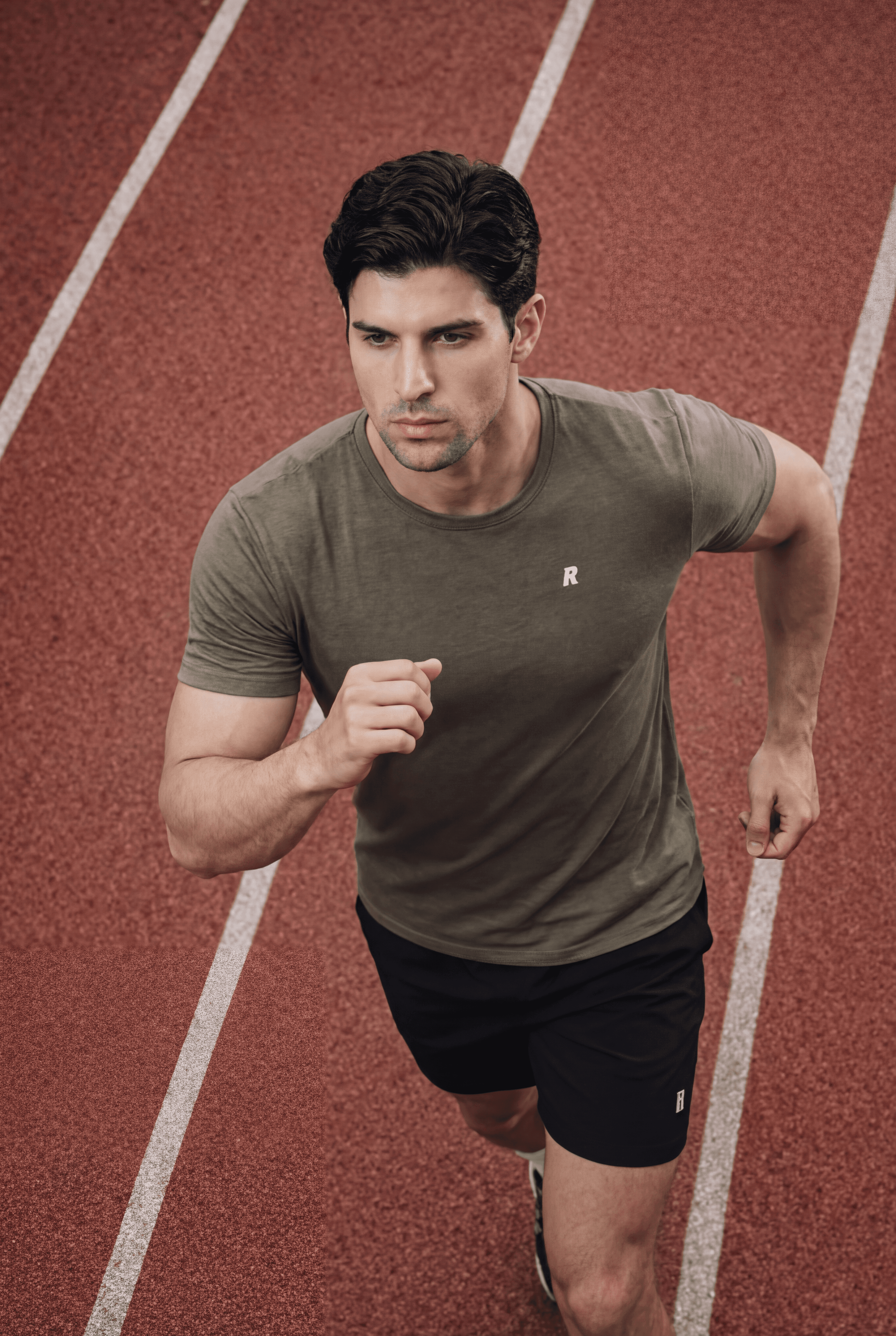 immersive exhibitions