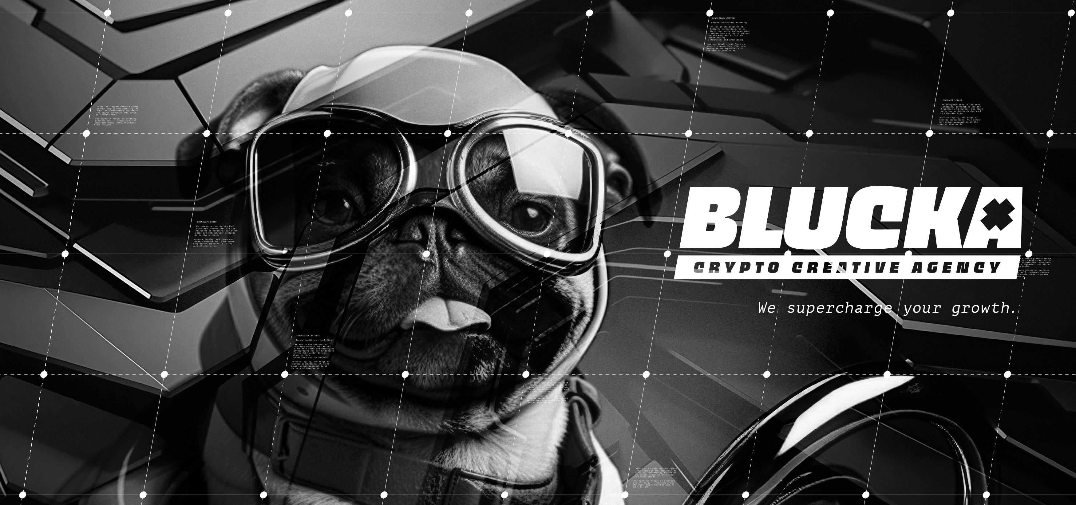 blucka - What is a meme coin?