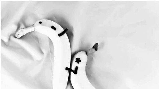 a black and white image of two bananas
