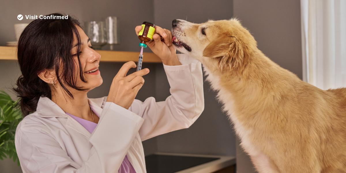 a man holding a small dog in a room