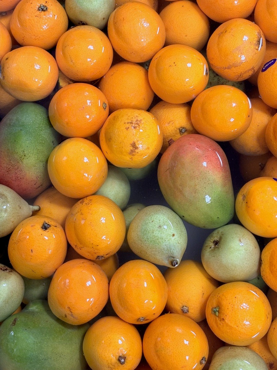 Orange fruit and green pears heaped together in a crate.