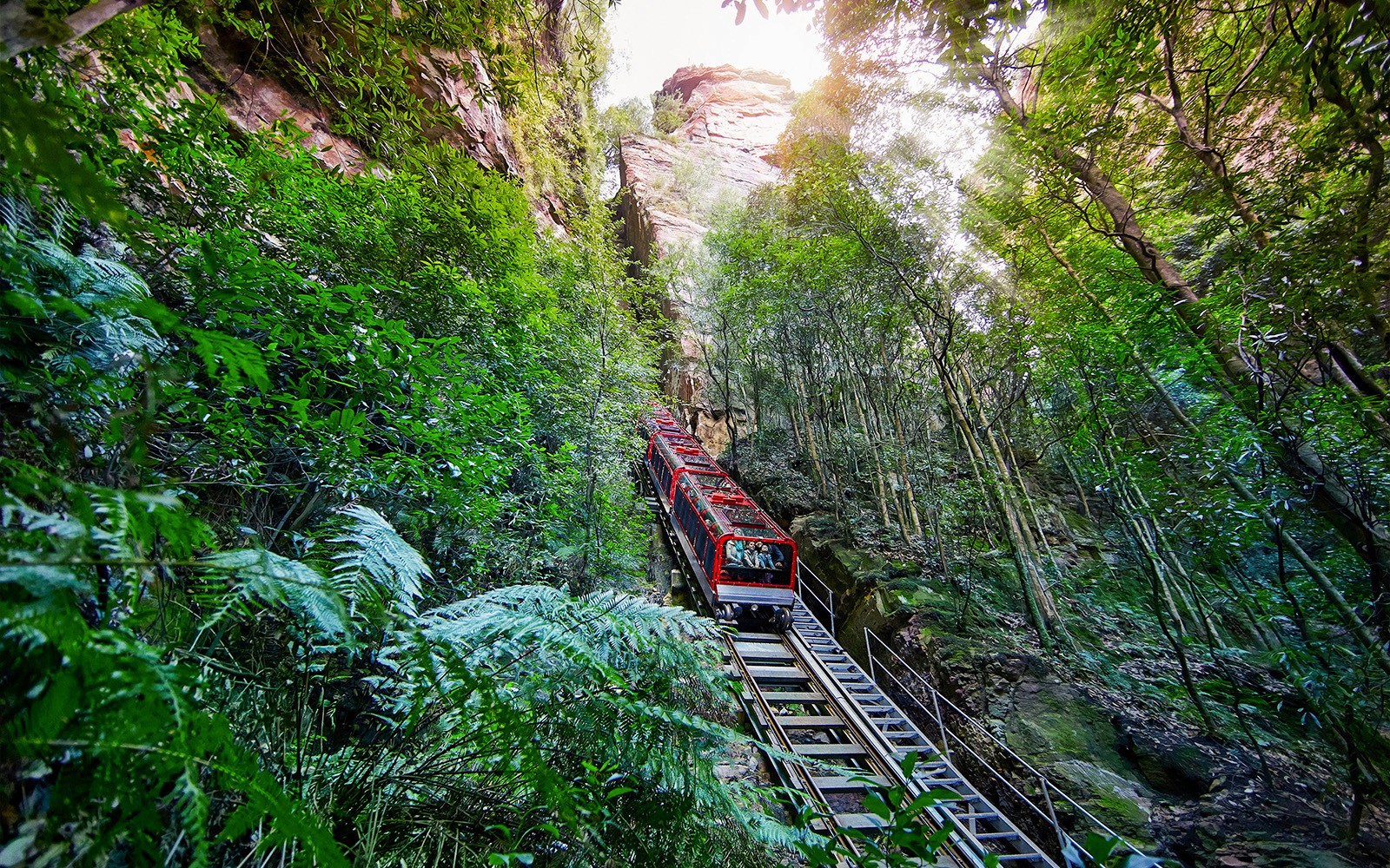 火车穿越澳大利亚蓝山郁郁葱葱的森林。