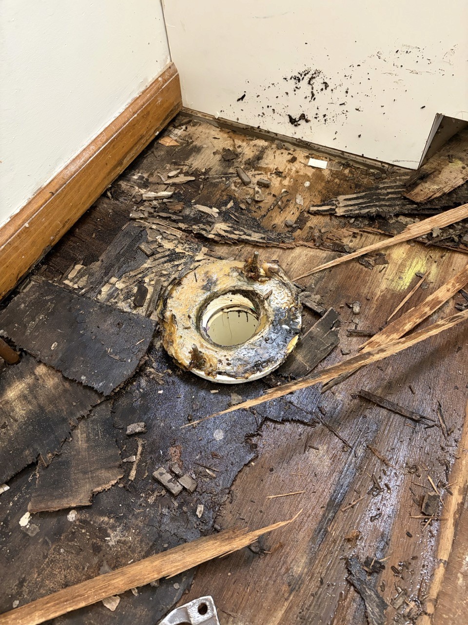 Current Remodeling Project, step 2