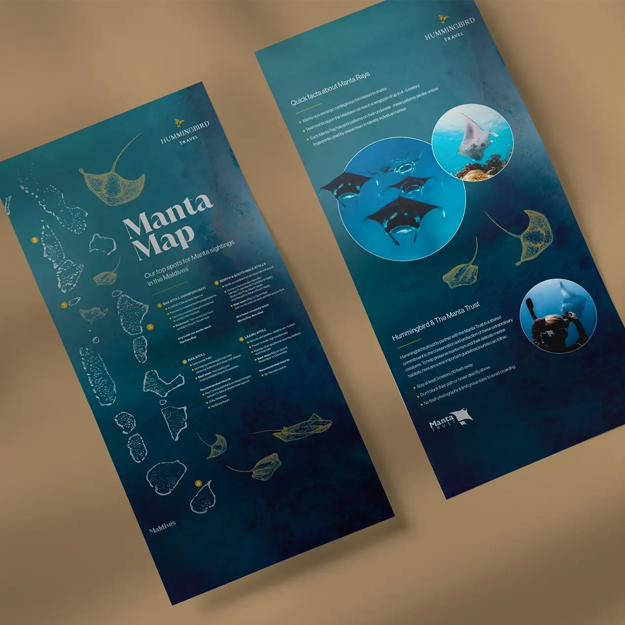 Hummingbird Travel Manta map flyer design